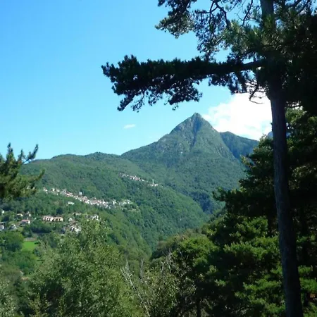Simplistic In With Balcony Terrace *